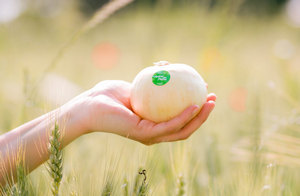 Convenzione per l'acquisto di prodotti a base di cipolla dolce