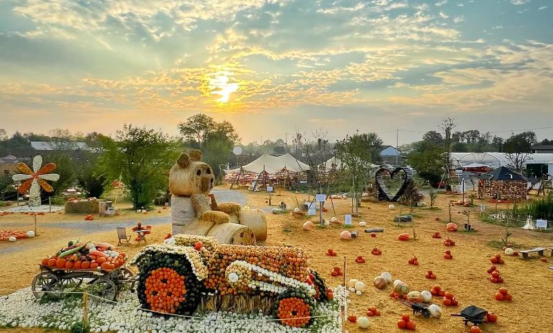 Sezione di Verona: Villorba, il fiabesco villaggio delle zucche 17 ottobre 2026